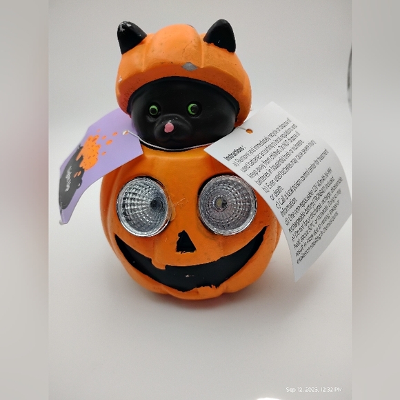 Light Up Halloween Pumpkin and Black Cat Decor - Picture 1 of 2